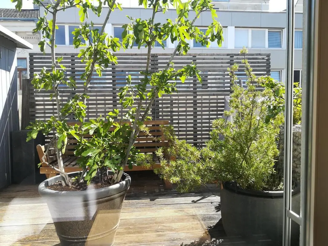 Bright double bedroom with a terrace, close to the Vienna Medical University