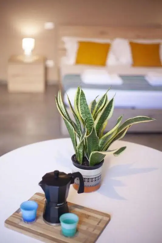 Appealing studio in the Marina di Pisa