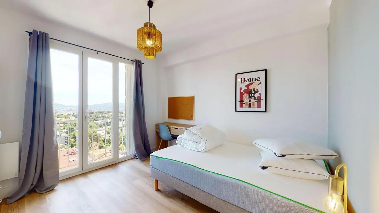 Luminous double bedroom in Blancarde