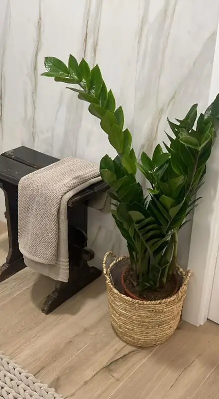 Cozy 2 Bedroom Apartment close to Golegã National Horse Fair